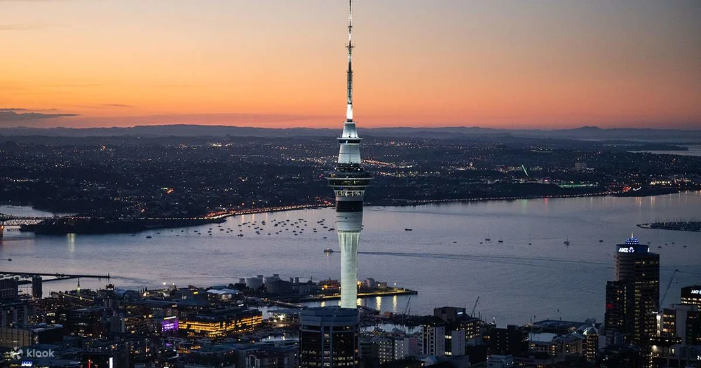 ble31ftzxncv1bgp7t6h