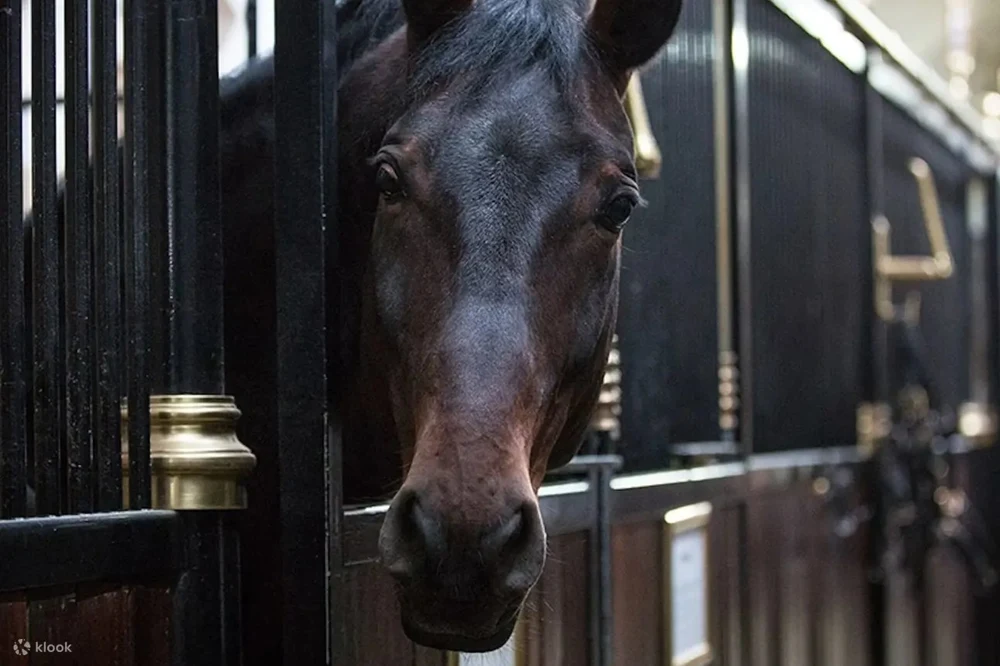 bwvjce22si3pwemyks9j