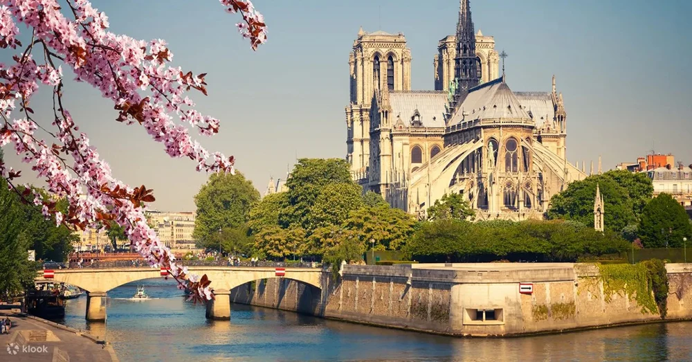 ciqisj0udu3q8wcpnzl0