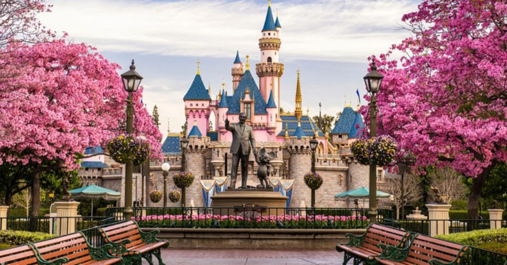 lxme2nrbr1yyi66fbuye