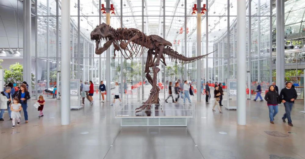 mxd6zaqpocwxqcsyzeo7