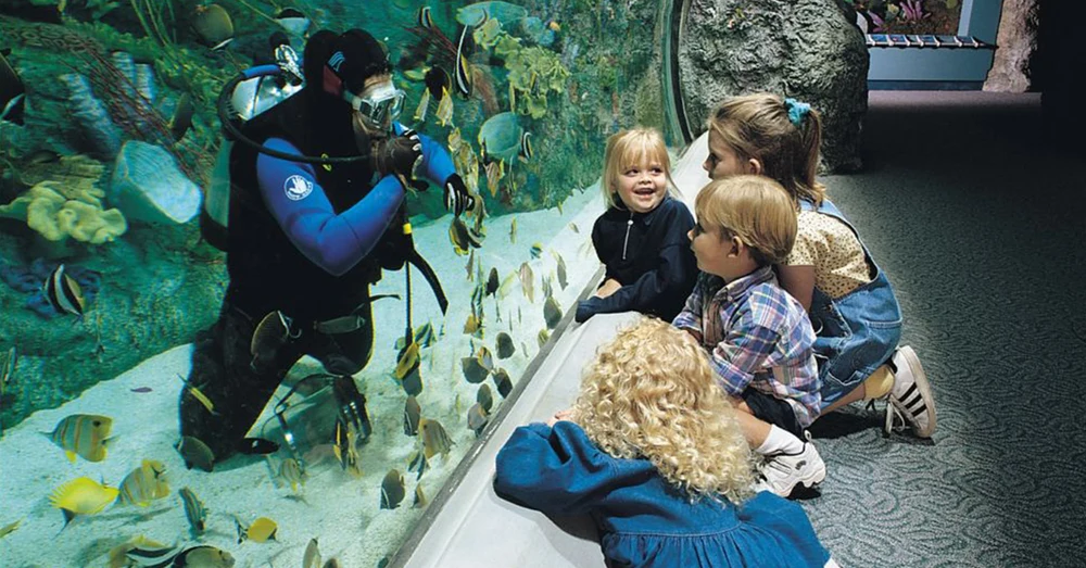 rm2l4jnnk89dqu42yswc