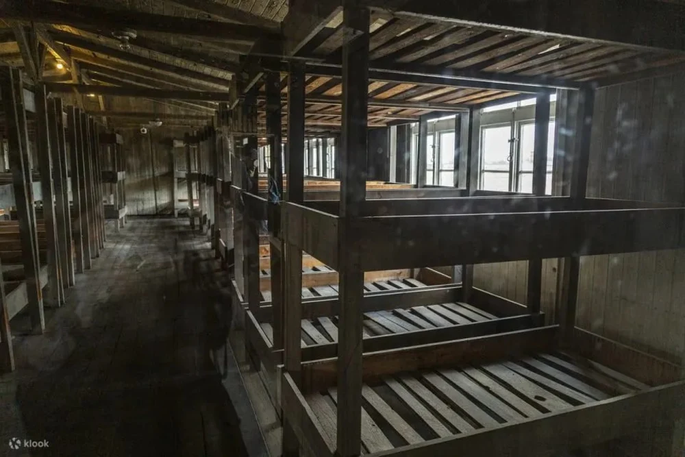 wahqm6r8my3jewekliqh