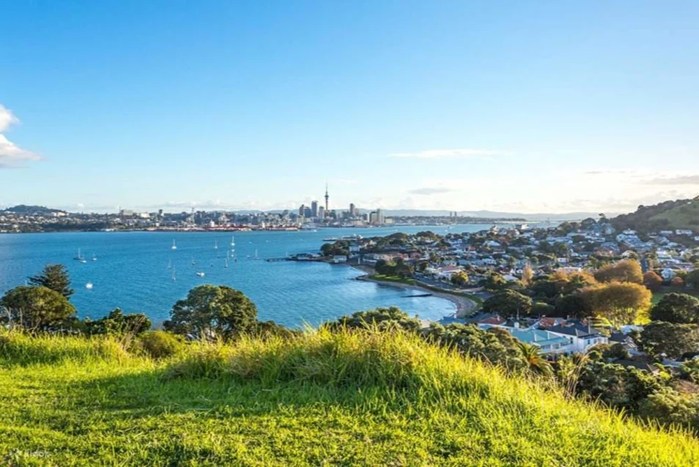 wy9tiiws4uusljjxfvhp