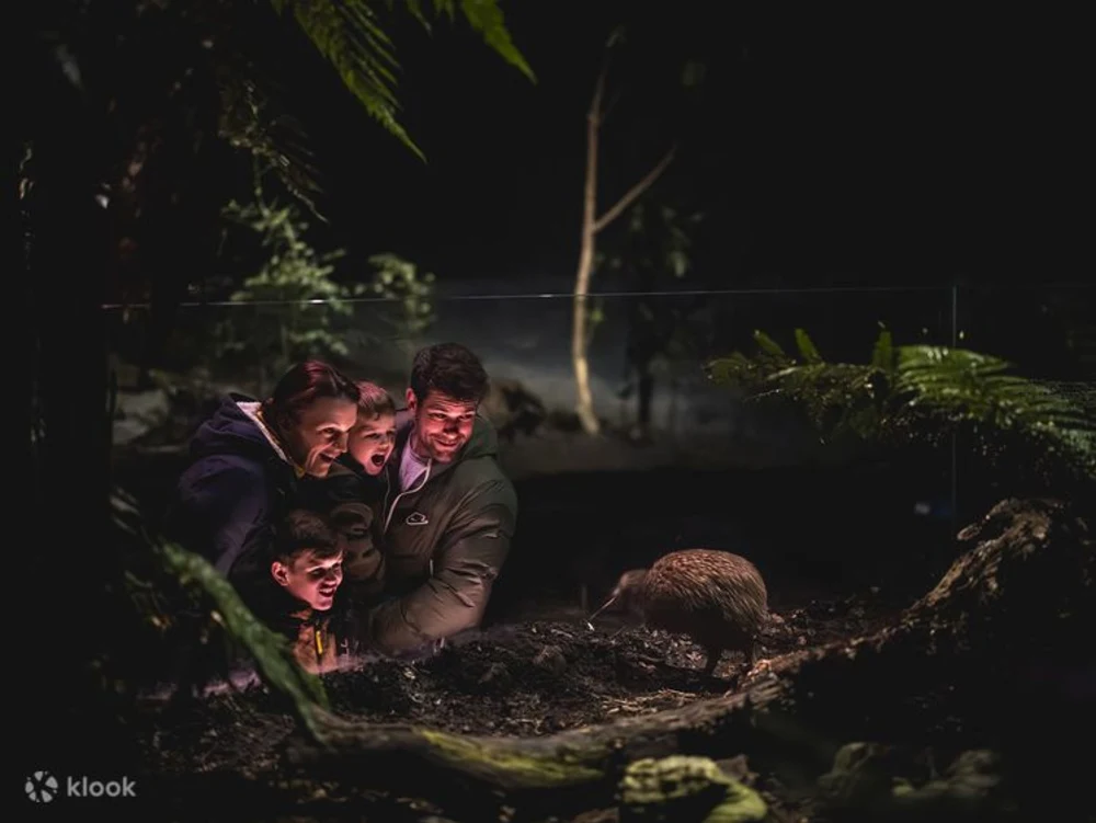 wycy48fmol0dzignexow