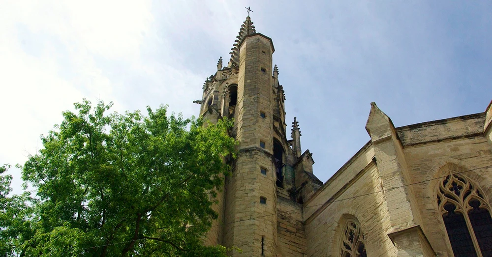 z9s56uexbogewak7kwum