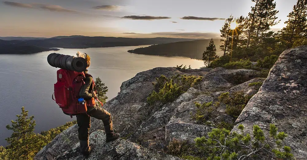 nx8x9hsufwgrffybdf8h