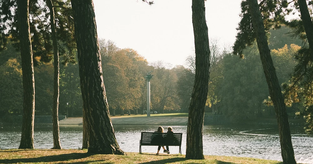 oi0kkvqbihh1jkx7dzok