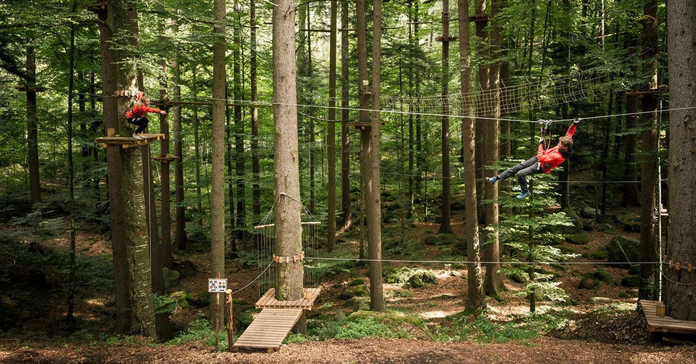 ojx23iankzz671okrgk1