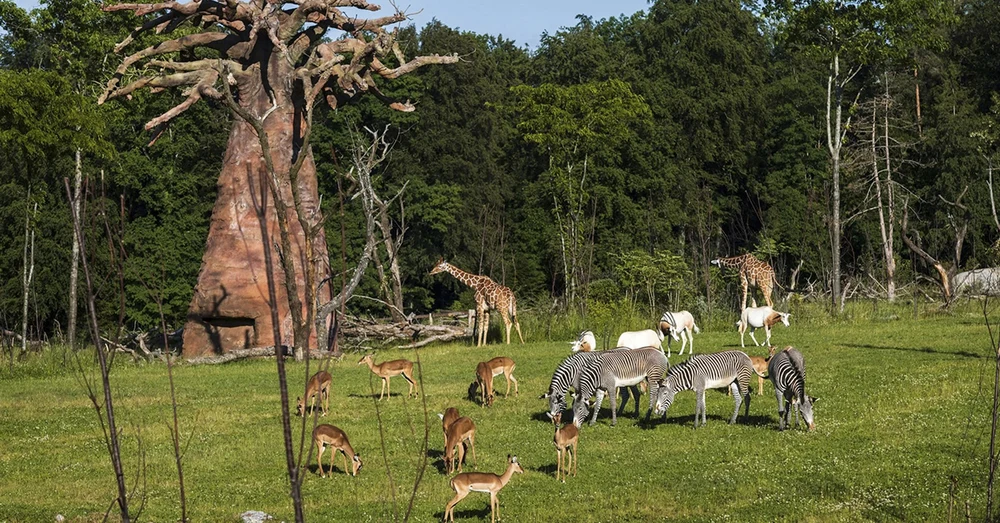 q4uunkmuwdqcdb4uxxrp