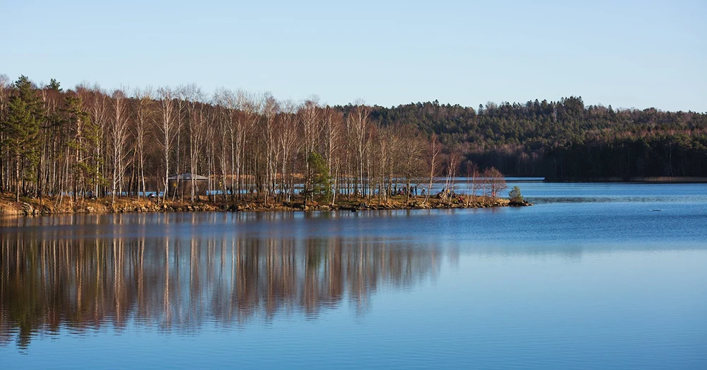 uigtlv59dyueq1am9xoh