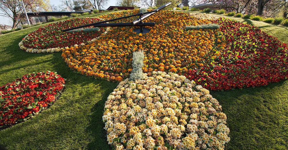 wfvqhxr2zcdtxwmjjzcw